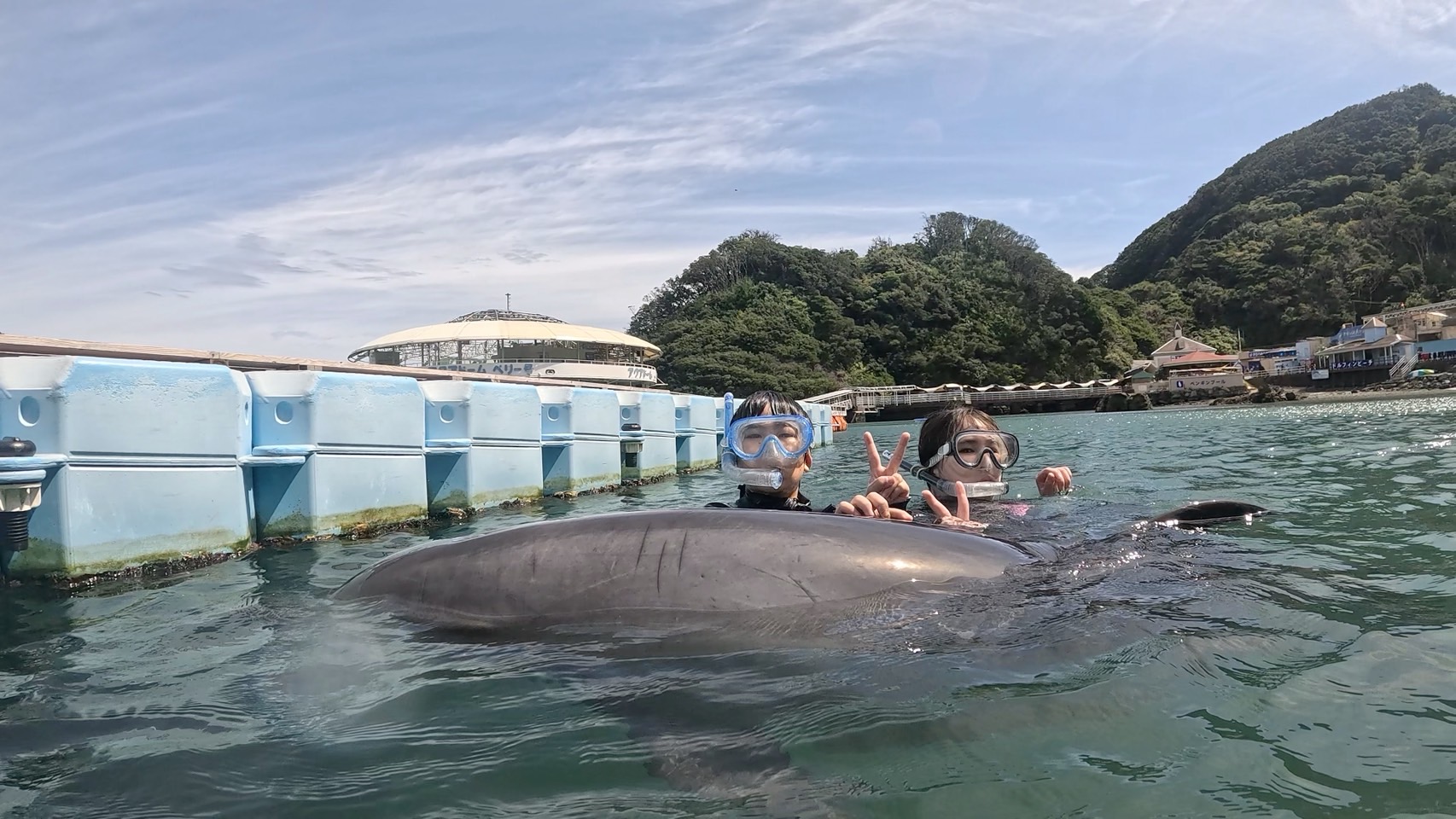 ダイビングドルフィン 秋だねぇ～It's autumn, isn't it? | 下田ドルフィンビーチ