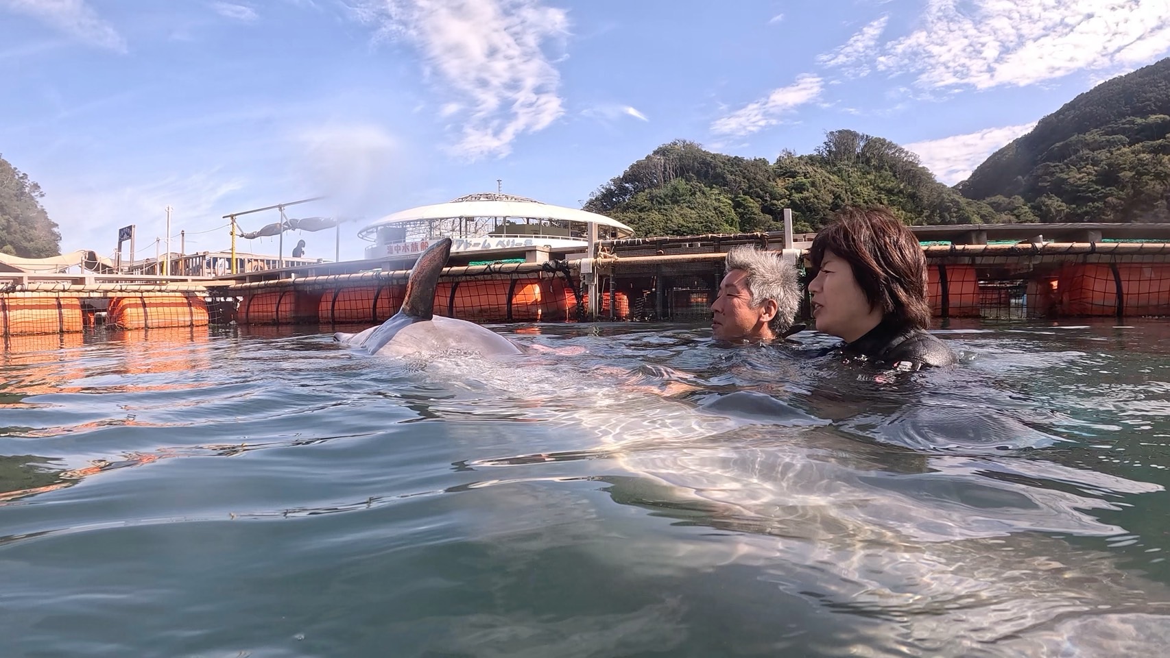 ダイビングドルフィン 秋だねぇ～It's autumn, isn't it? | 下田ドルフィンビーチ